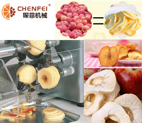 Dây chuyền sản xuất trái cây sấy khô SS304 dễ dàng để đông lạnh táo khô