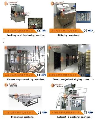Dây chuyền sản xuất trái cây sấy khô 1000kg / H Apple Pear