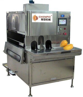 Cấu trúc nhỏ gọn Dây chuyền chế biến xoài Dán dây chuyền chế biến 5 tấn mỗi ngày