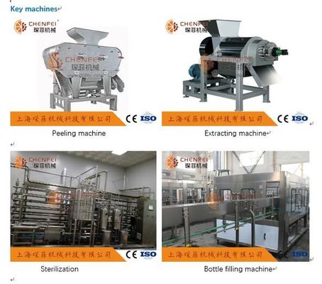 Dây chuyền sản xuất nước ép lựu Coustom 5T / H